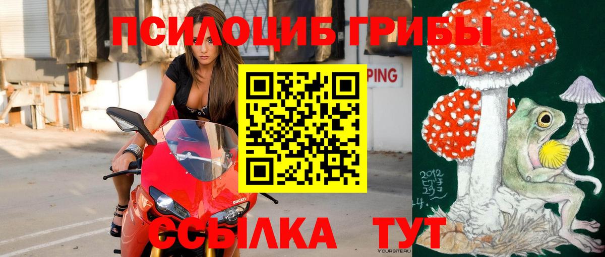Псилоцибиновые грибы ЛСД Краснодар