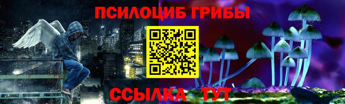 Галлюциногенные грибы GOLDEN TEACHER  Вход с VPN  Краснодар  Галлюциногенные грибы мухоморы 